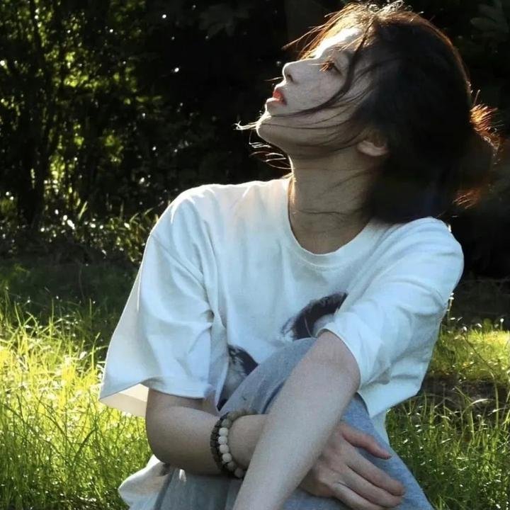 动画综艺
