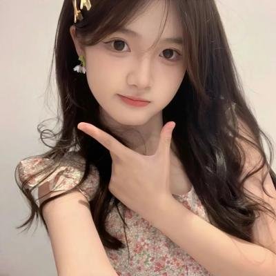 金刚斗恐龙
